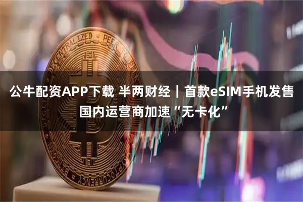 公牛配资APP下载 半两财经｜首款eSIM手机发售 国内运营商加速“无卡化”