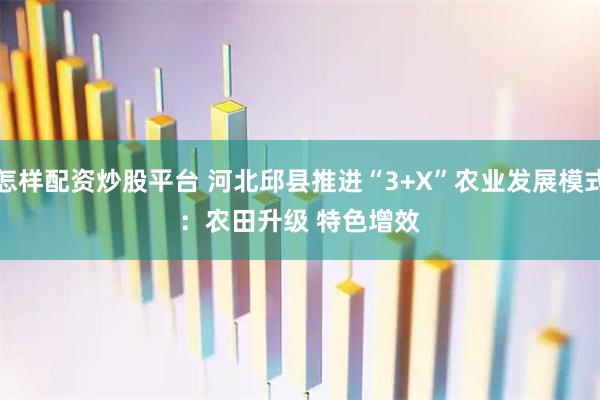 怎样配资炒股平台 河北邱县推进“3+X”农业发展模式：农田升级 特色增效