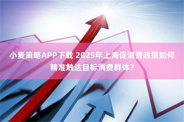 小麦策略APP下载 2025年上海促消费政策如何精准触达目标消费群体？