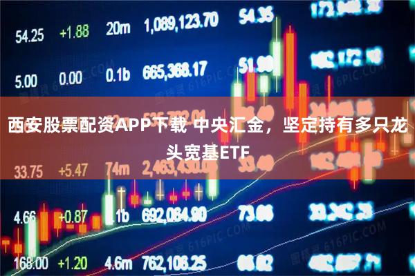 西安股票配资APP下载 中央汇金，坚定持有多只龙头宽基ETF